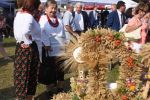 Miniatura zdjęcia: Fotka 48